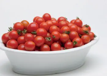 tomato-sweetbaby-3.jpg