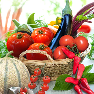 Photo des variétés précoce HM.CLAUSE HOME GARDEN : Edgar, Kazimir, Gourmandia, Crokini, Balconi