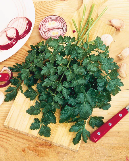 parsley-geantditalienovas-2.png