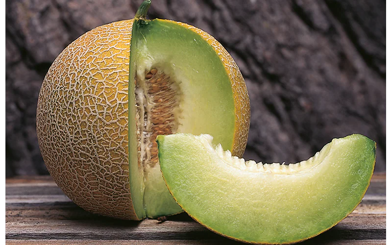 melon-masada-1.png
