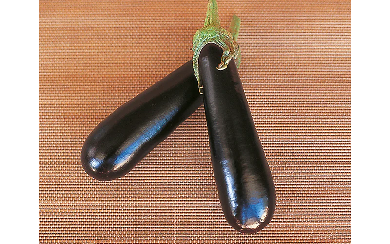eggplant-baluroi-1.png