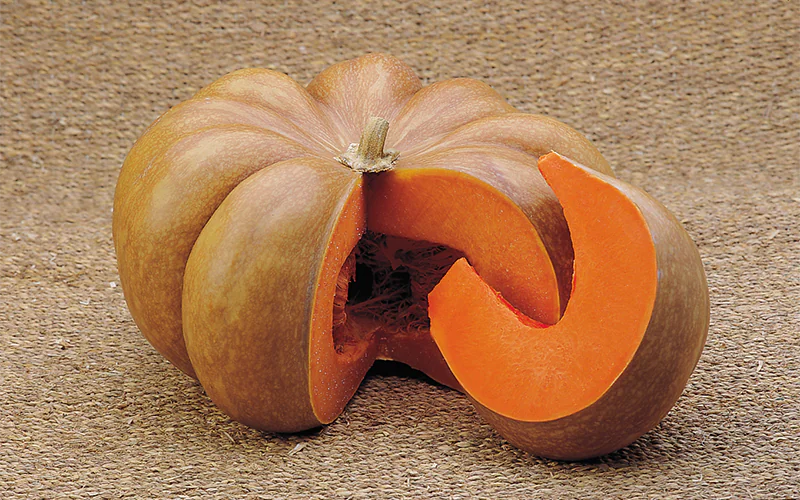 squash-musquee-hiver-de-provence-1.png