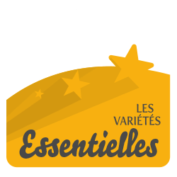 Logo de la gamme essentielle, orangé avec le titre de la gamme