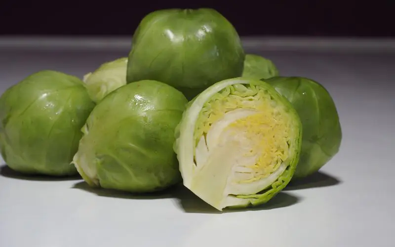 cabbage-brigitte-f1-3.jpg