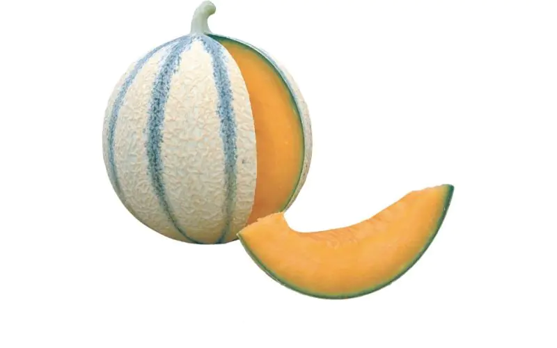 melon-anasta-f1-3.jpg