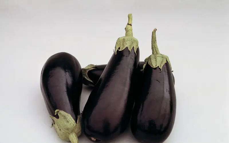 eggplant-classic-2.jpg
