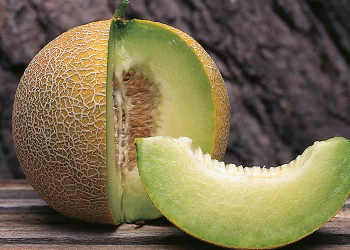melon-masada-1.png