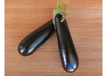 eggplant-baluroi-1.png