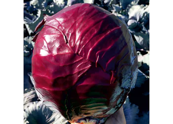 cabbage-redguard-1.png