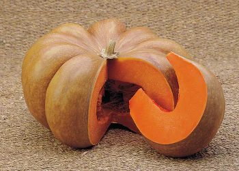 squash-musquee-hiver-de-provence-1.png
