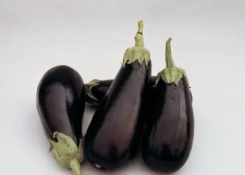 eggplant-classic-2.jpg