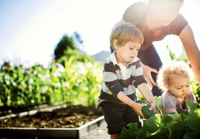 iStock_000044780084_Large_Family_Harvesting Fresh_.jpg